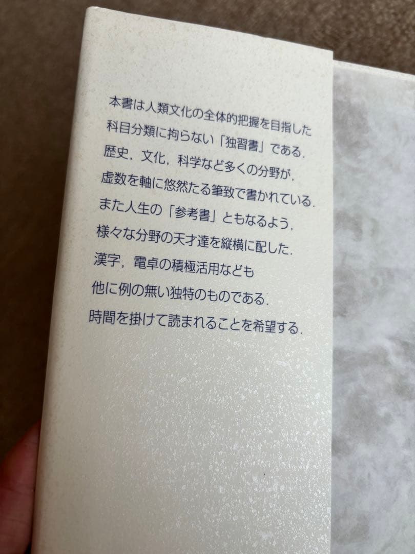 虚数の情緒 中学生からの全方位独学法