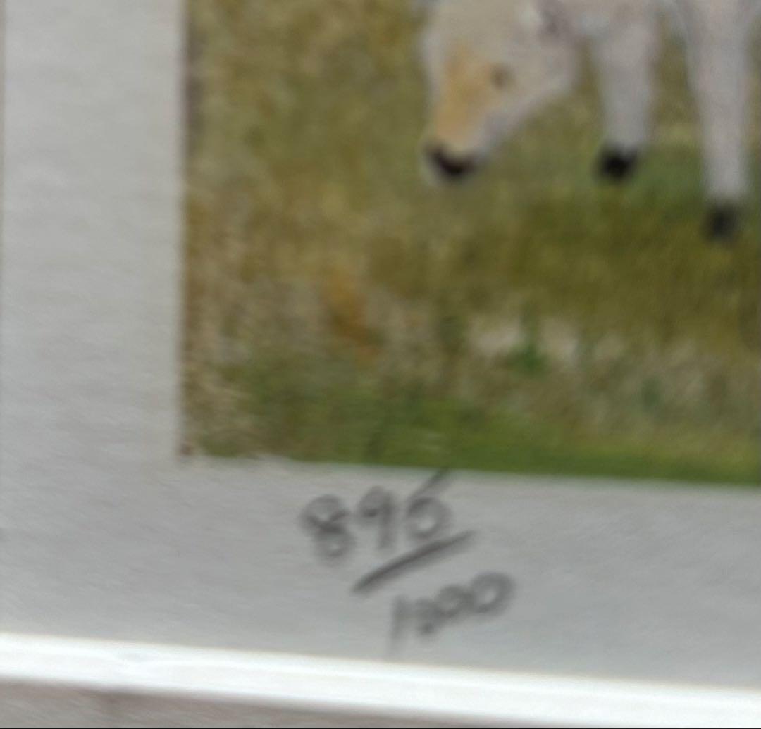 ウィルモーゼス　ビンテージ　リトグラフ