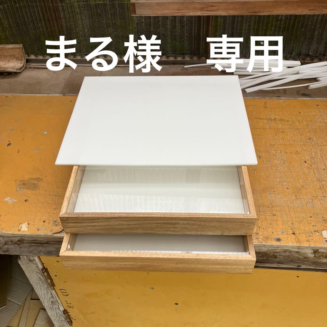 大型標本箱　2箱とペフ1枚