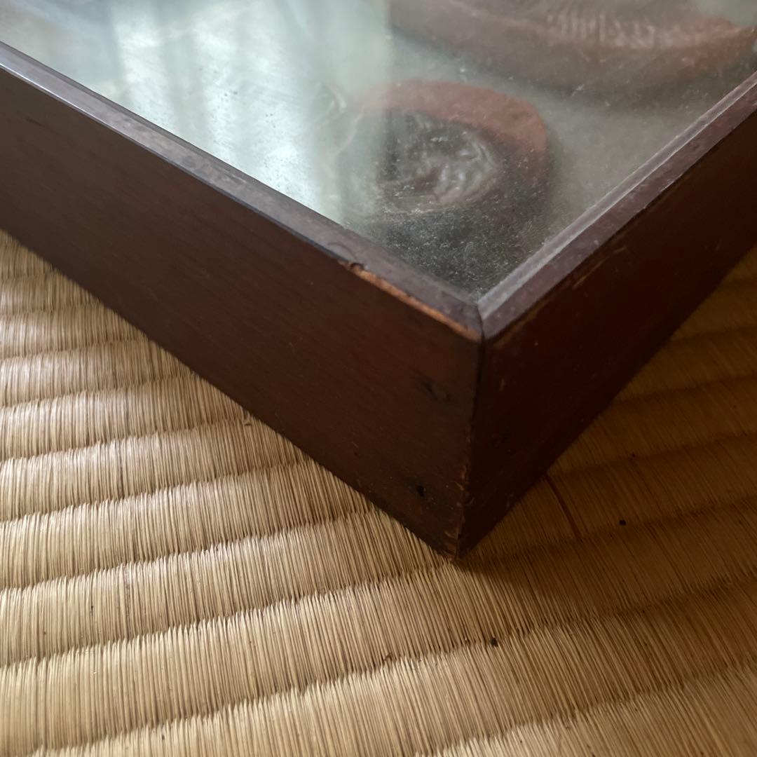 珍品、レトロ　医学模型　寄生虫