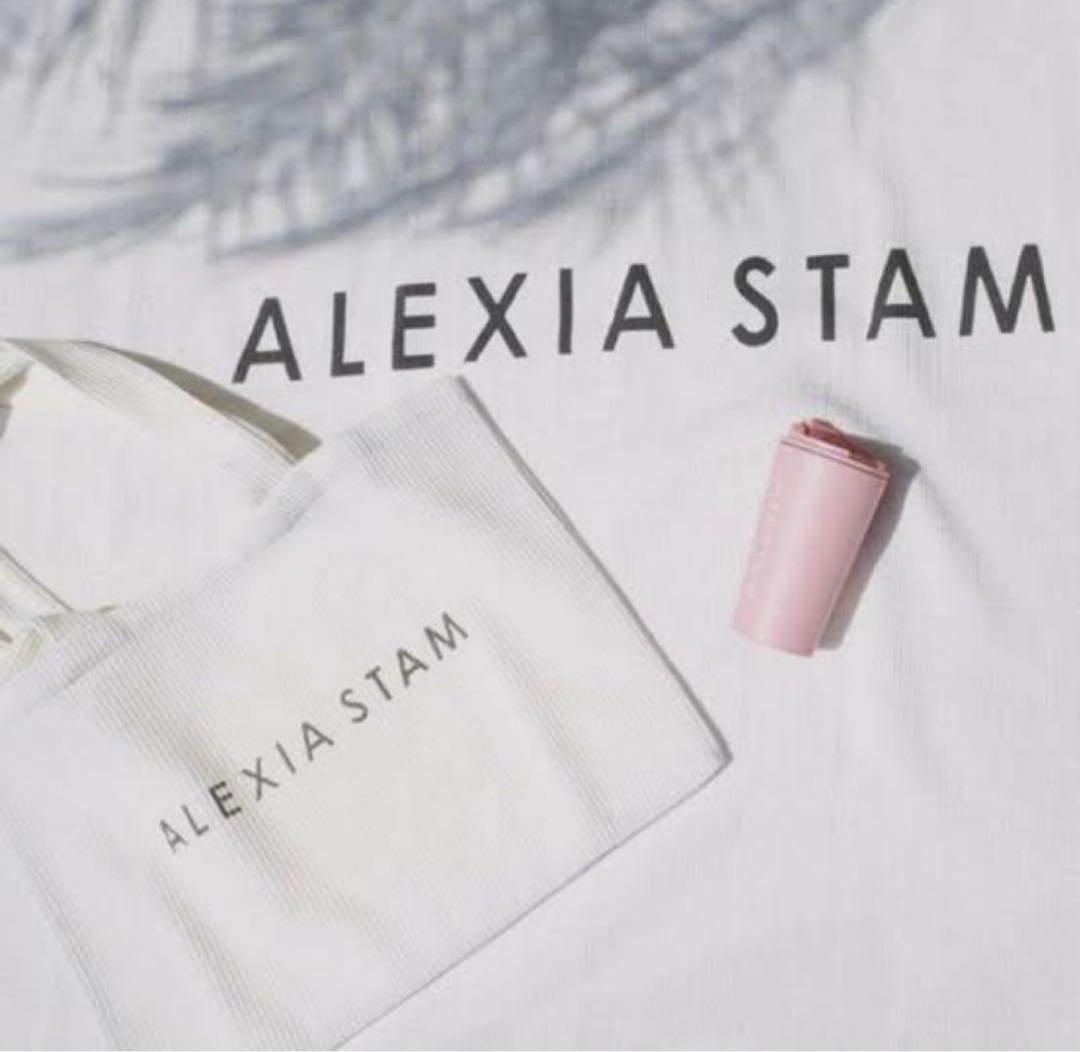 ALEXIASTAM 新品未使用　希少ビーチセット