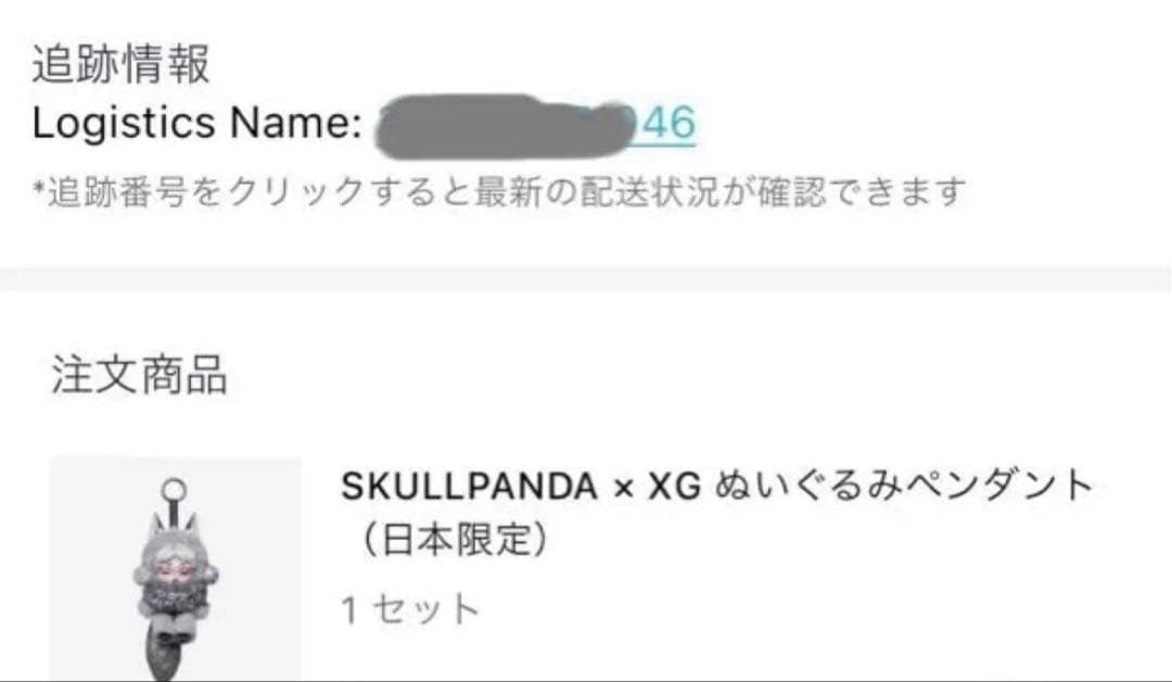 【正規品】SKULLPANDA × XG ぬいぐるみペンダント