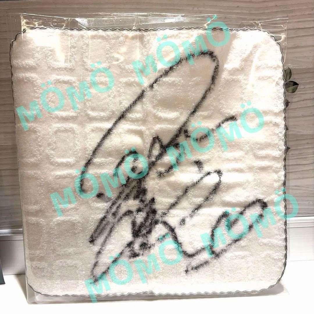 及川奈央 サイン入りハンカチ 写真 セット