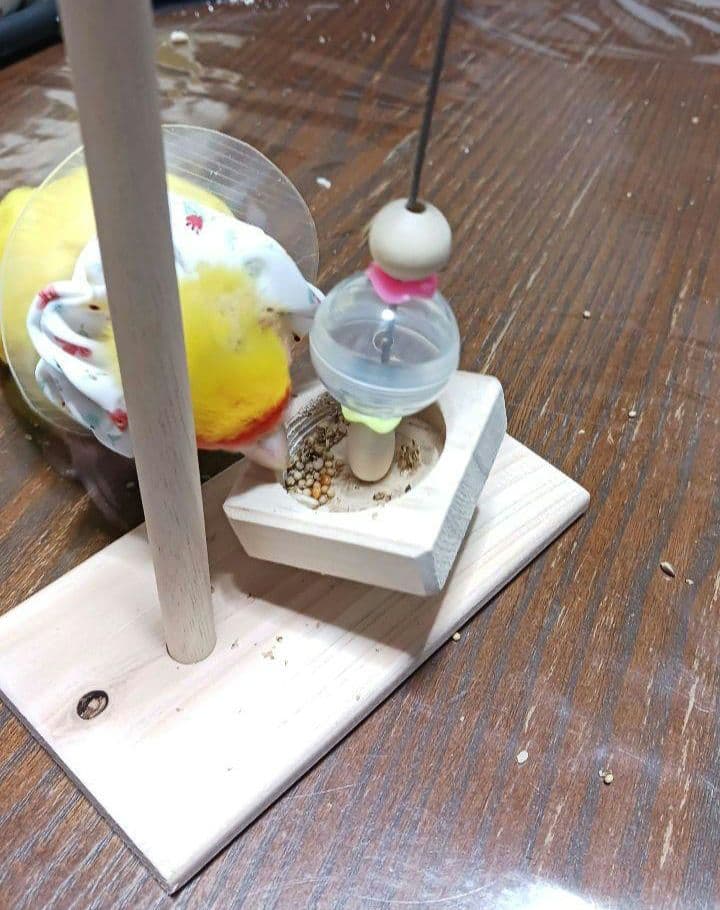 f34　吊り下げタイプのフォージングボール　バードトイ　インコ　フォージングトイ