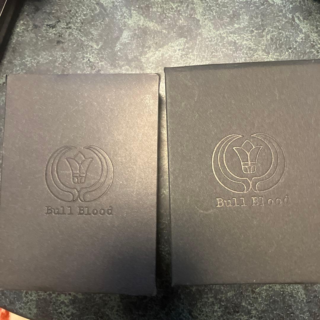 BULL BLOOD TAO DRAGON -SILVER MENS ハイド愛用