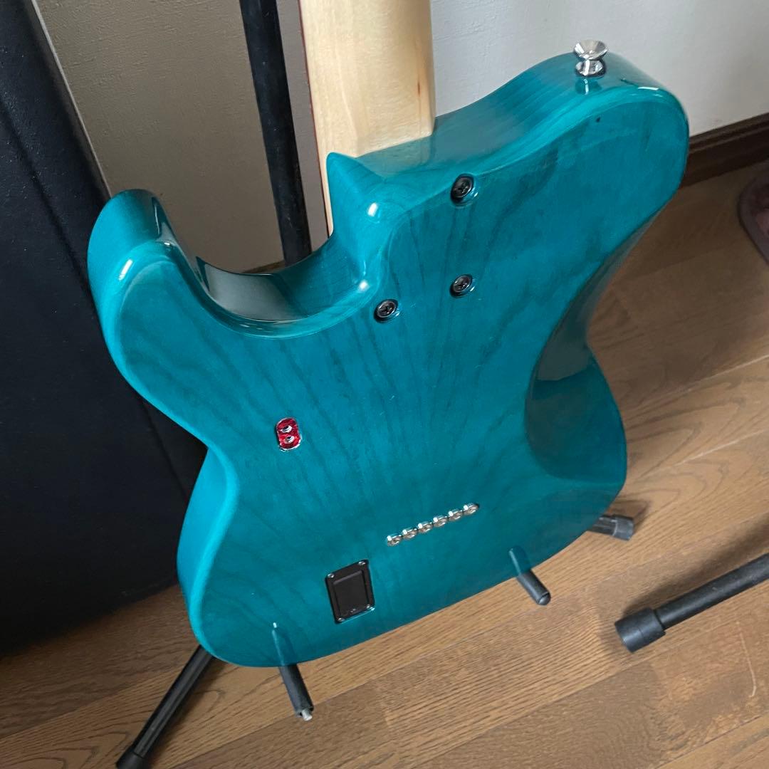 truth テレキャスタータイプ TTL-201 オーダー仕様 トゥルース 美品