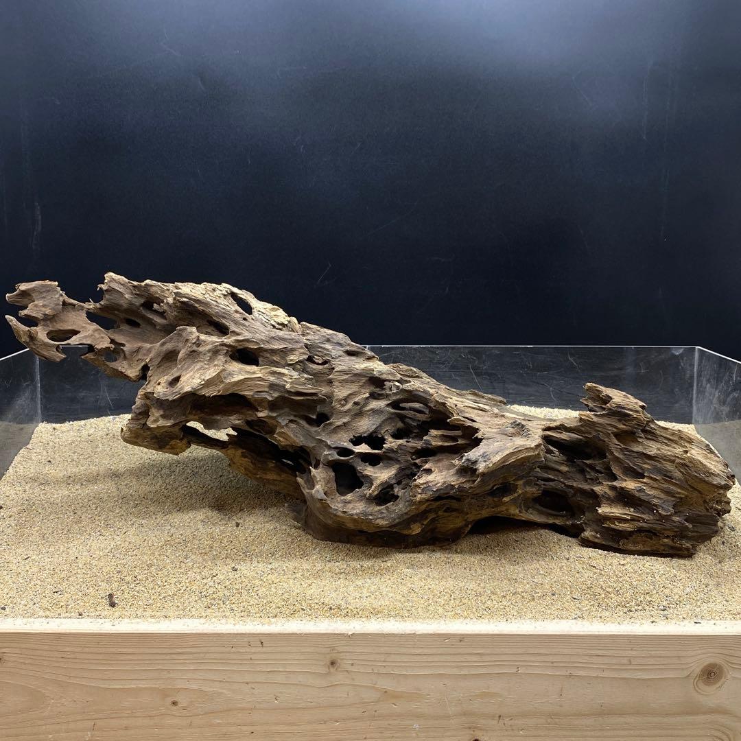 MMW-6463 特大マシンガンウッド　流木　アクアリウム
