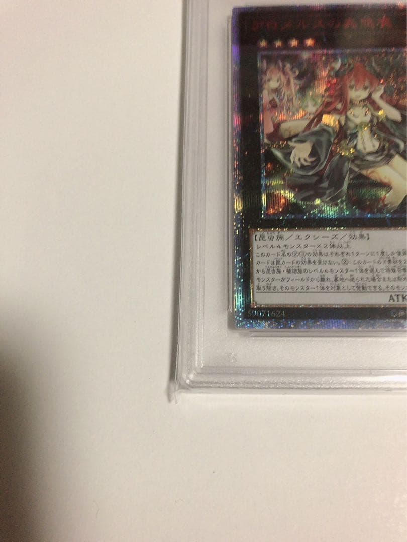 遊戯王 アロメルスの蟲惑魔 20thシークレット PSA10