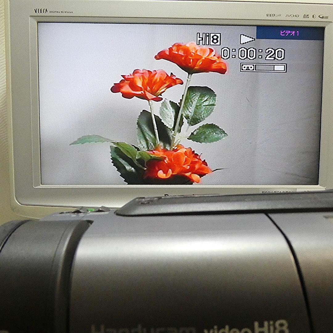 動作良好 ソニーVideoHi8 CCD-TR3000 8ミリビデオ　DVD化に