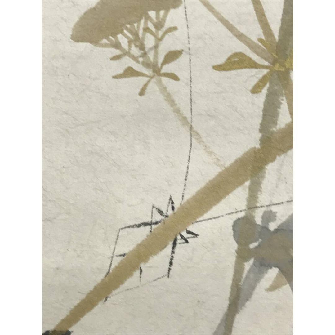 真作/木村武山/菊花図/掛軸☆宝船☆AK-314