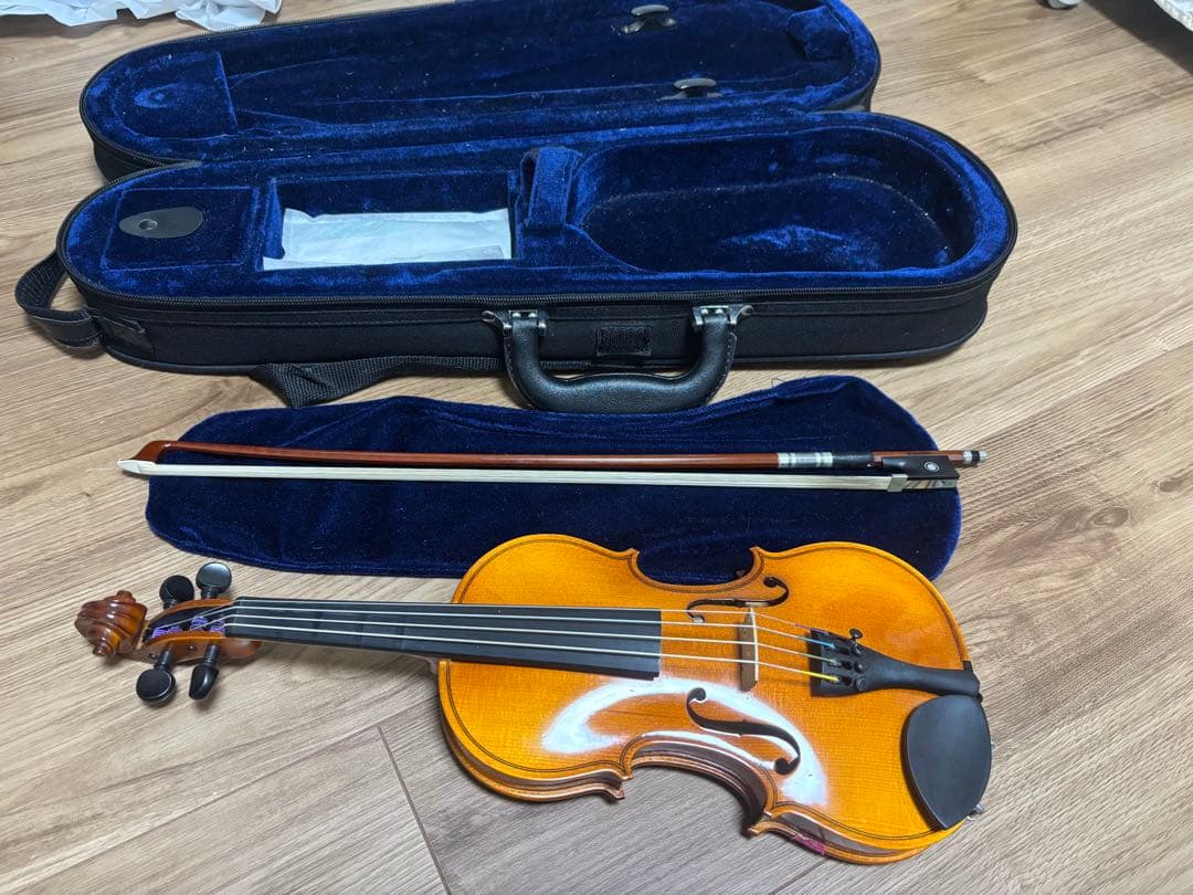 Redlin バイオリン 2020年モデル ケース付き