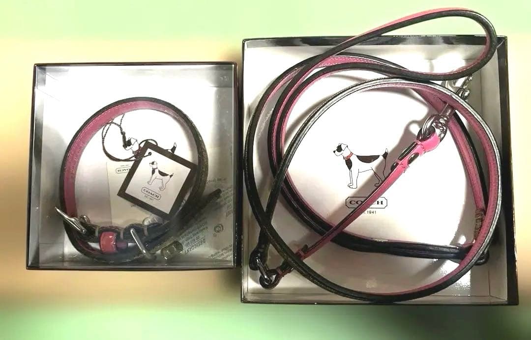 首輪・リードセット COACH