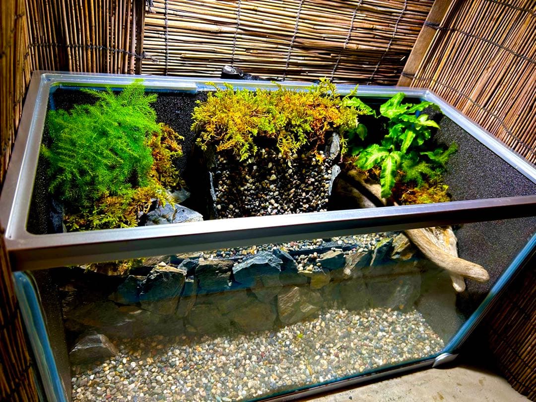水の流れる滝テラリウム水槽　苔テラリウム　50センチ