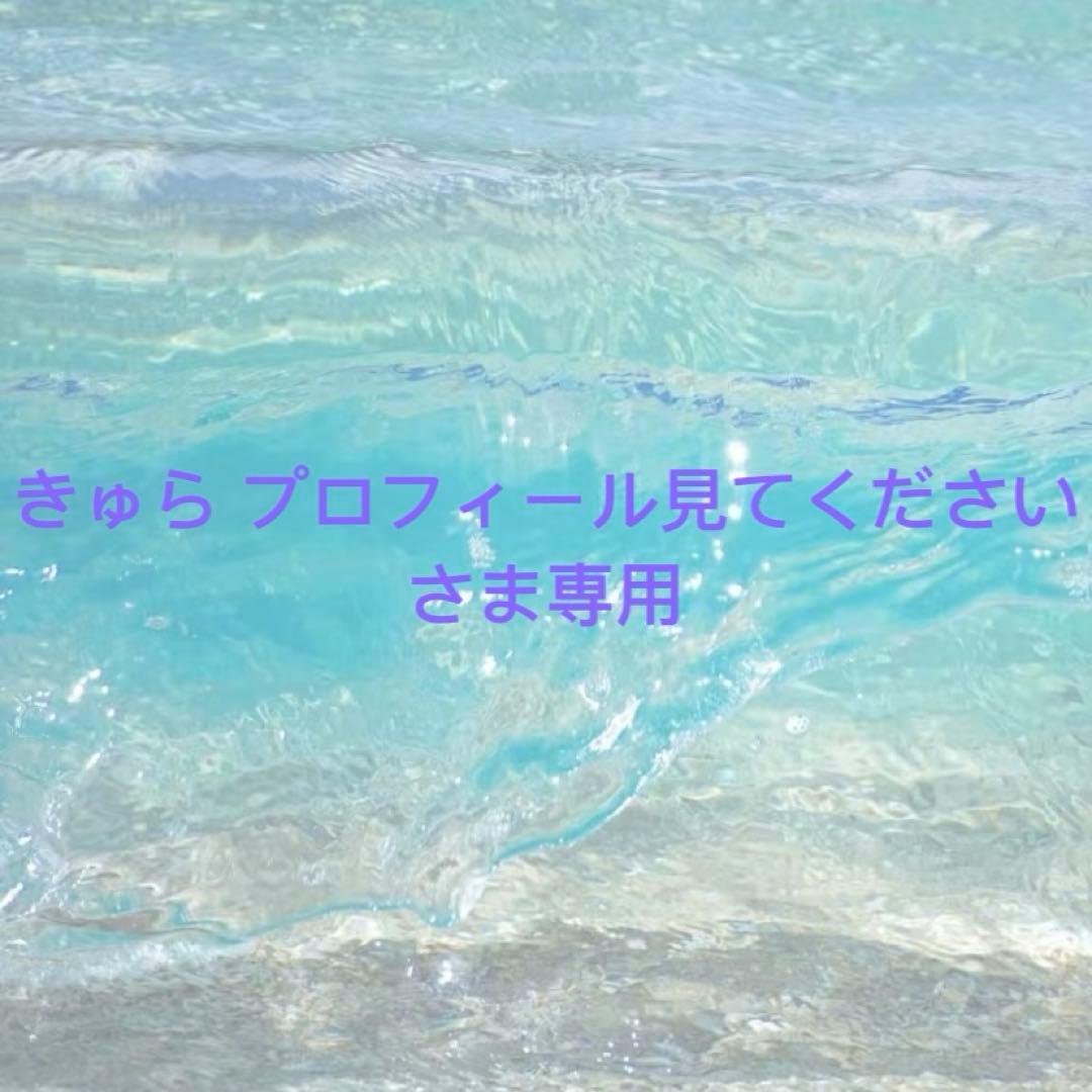 きゅら プロフィール見てくださいさま専用