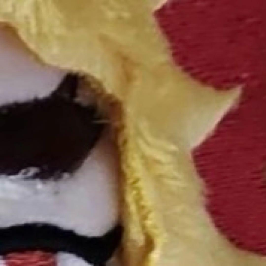 きゅら プロフィール見てくださいさま専用