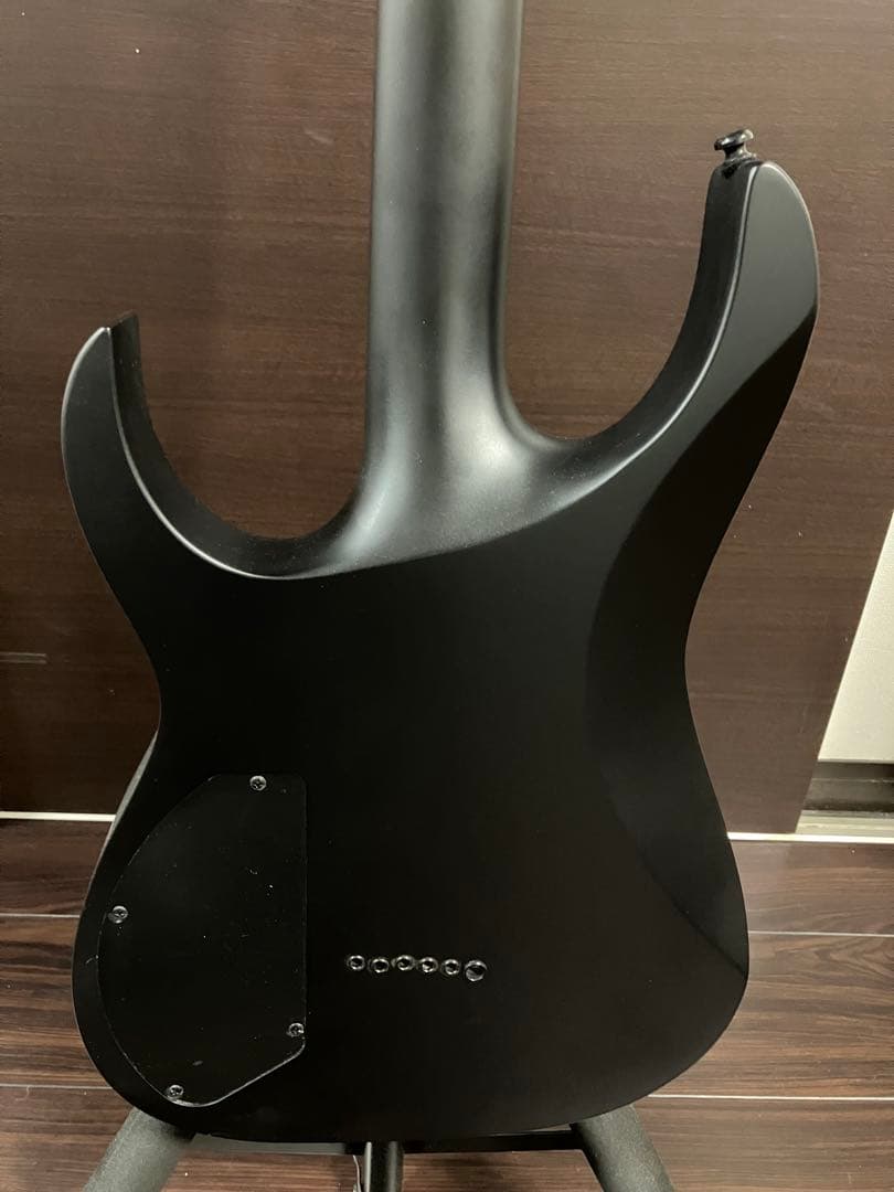 Ibanez Iron Label RGRTBB21-BKF バリトン