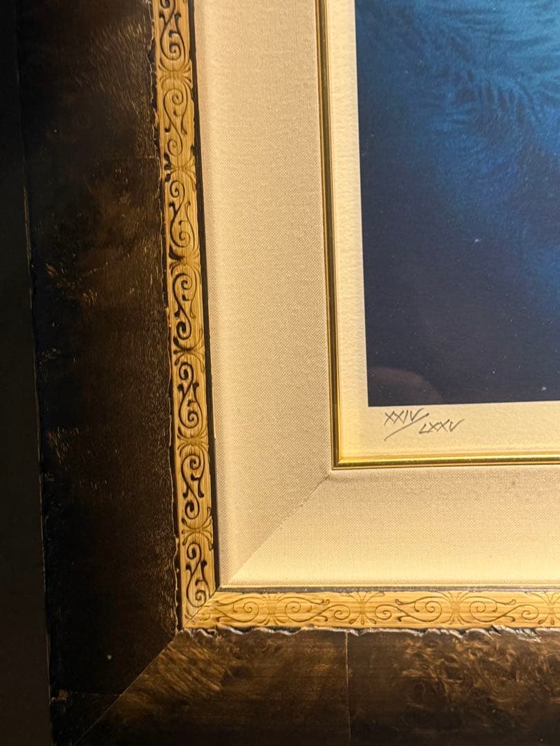 ジョウ・ナイトウ【ミスティック・キャニオン&雪の鼓動】シルクスクリーン