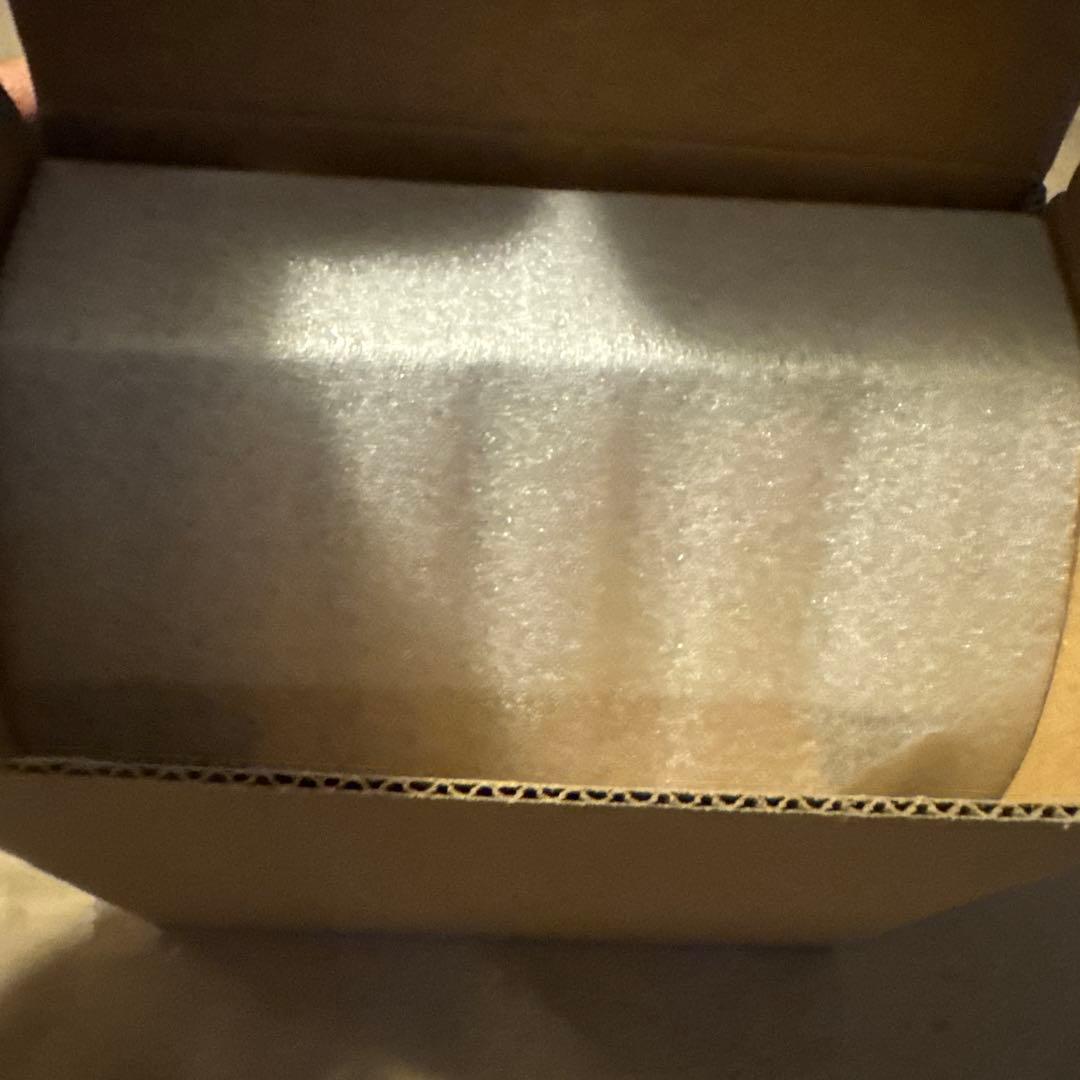 チ。 地球の運動について オルゴール ラファウ