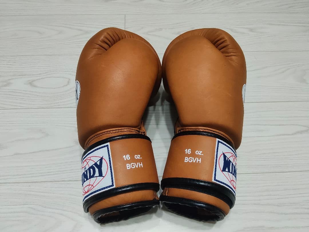 WINDY 16oz グローブ