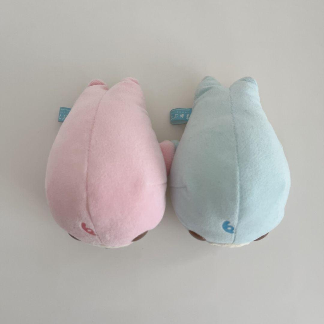 激レア！ ベビー まめゴマ♡