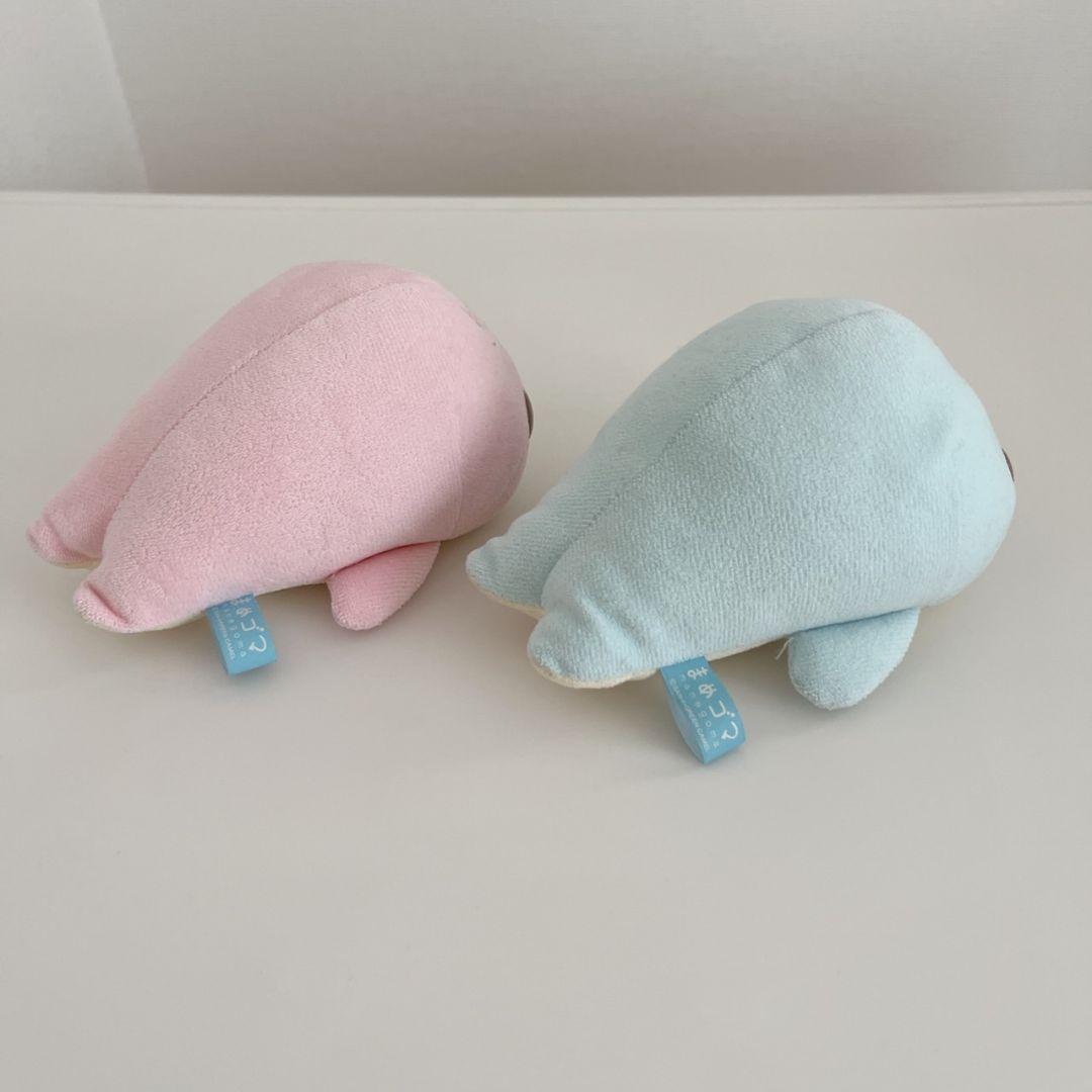 激レア！ ベビー まめゴマ♡