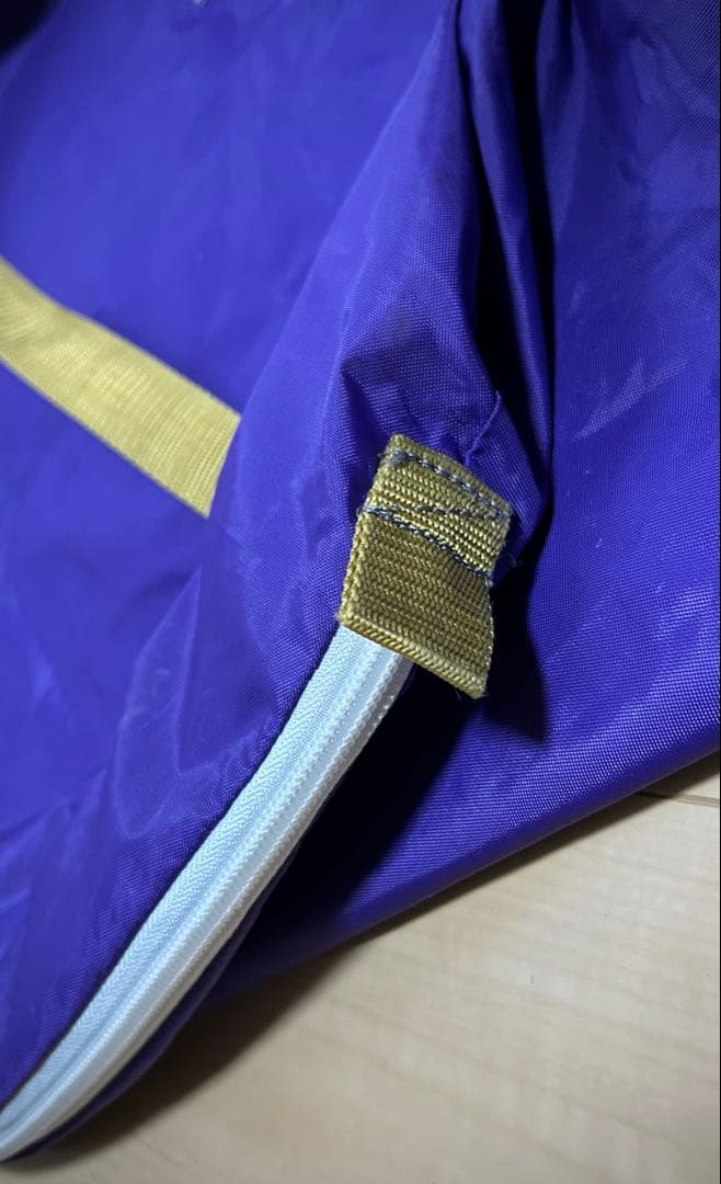 【キャリーケース付】STRIDER PRO 軽量！シルバー