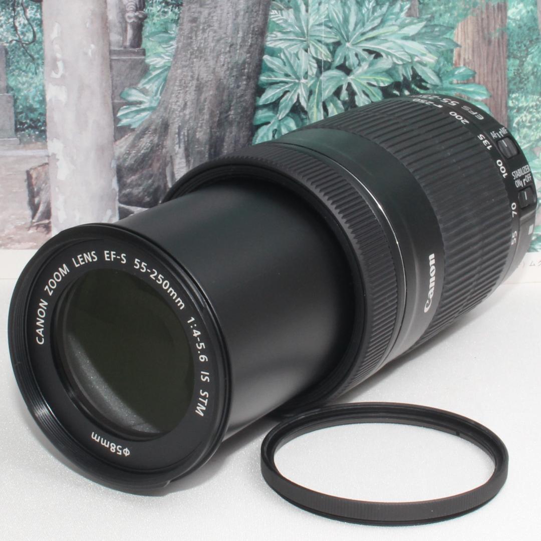 ☆高性能望遠レンズ☆EF-S 55-250 mm STM☆