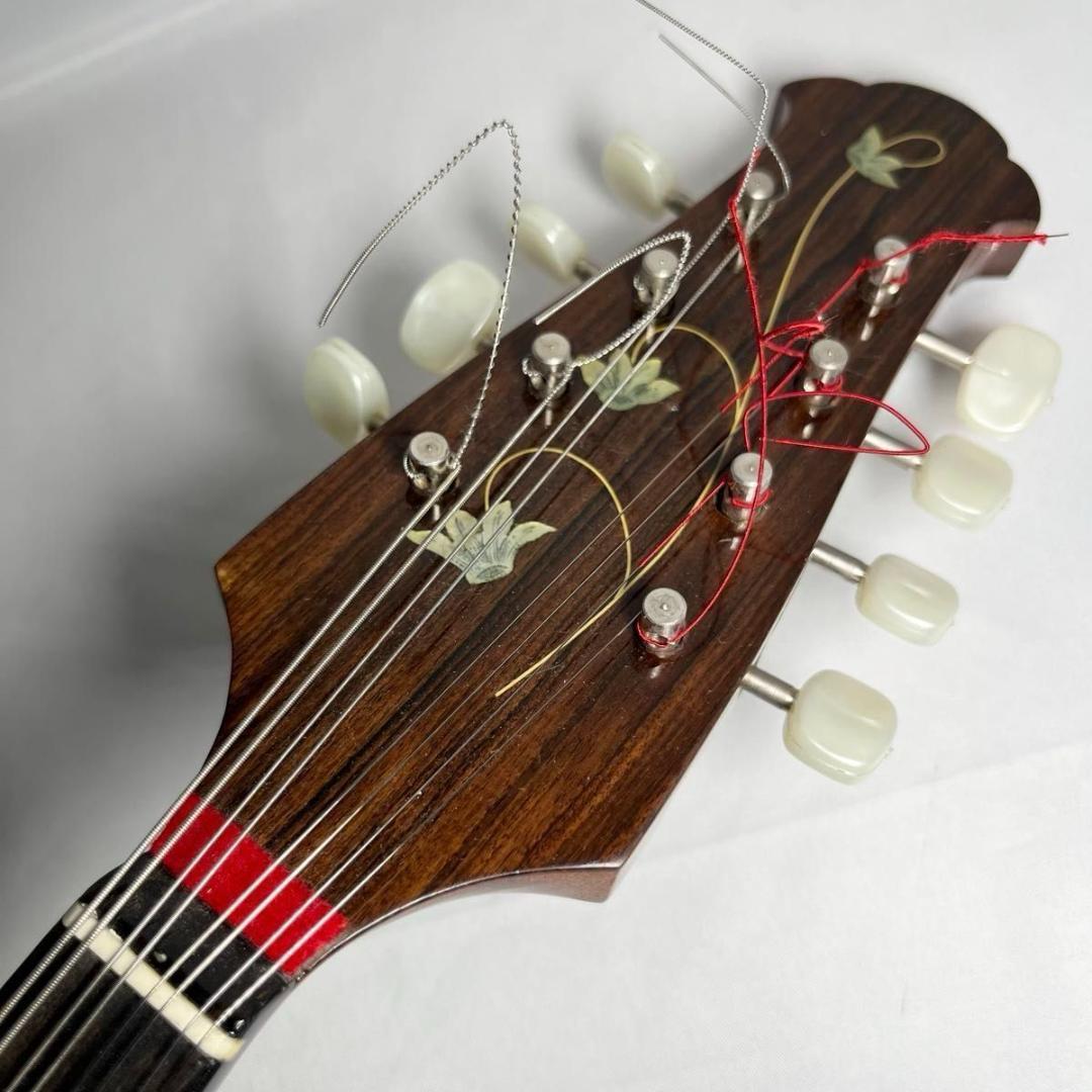 マンドリン　ラファエレ・カラーチェ Type15 raffaele calace