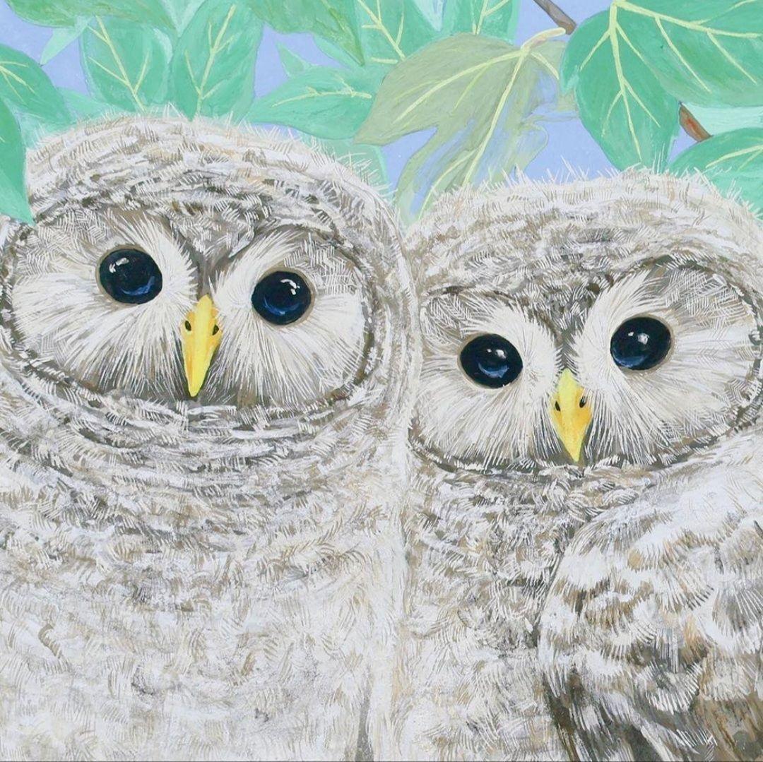 外山寛子　「萌し」日本画　 8号　真作保証　琳派　新鋭