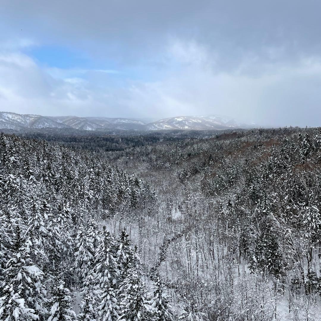 鹿ジャーキー犬用２キロ＆鹿ジャーキー犬用800gアキレス腱