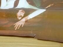 70年代 ビンテージ SKIPOLES＆SKI スキー デザイン ポスター