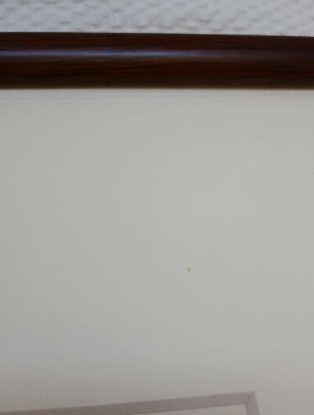 市川元晴　新歩