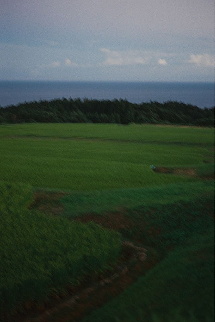 【美品】 沈洞ズミクロンMマウント50mm F2 ライカ 作例あり