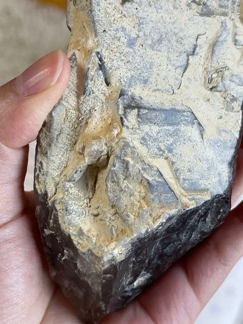 共生スモーキークォーツ・レインボー　・トルマリン　370g