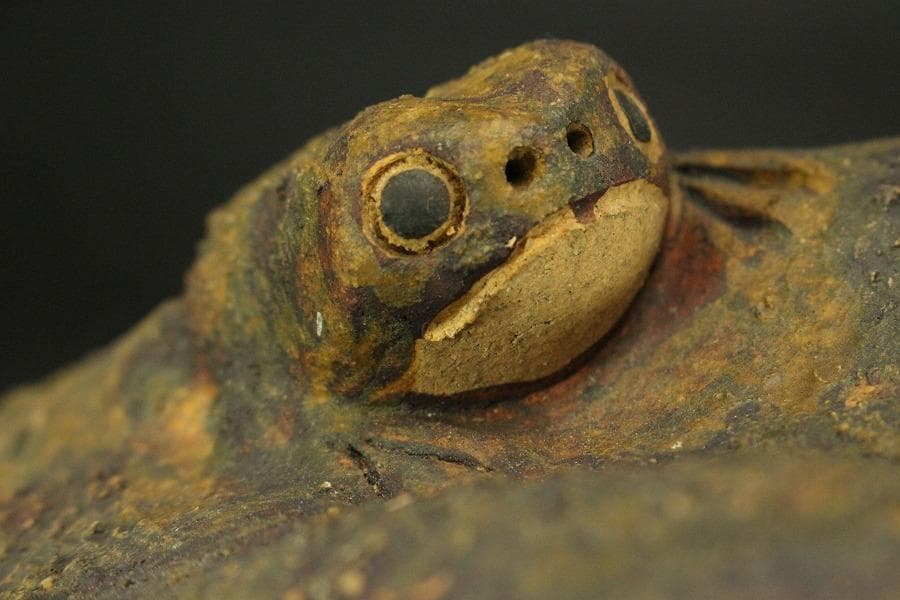 古い 陶製 蝦蟇 二件(ZE478)