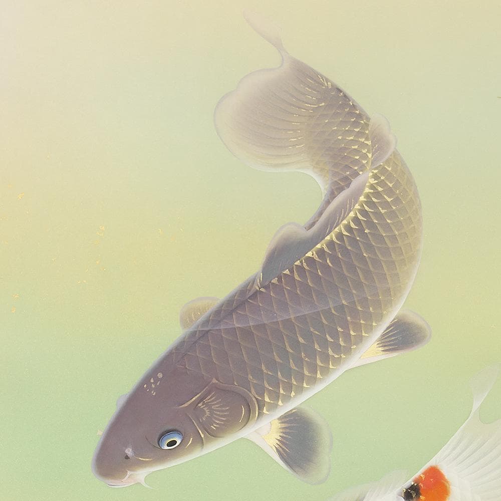 軸 日本画 太田龍一「松鯉」共箱