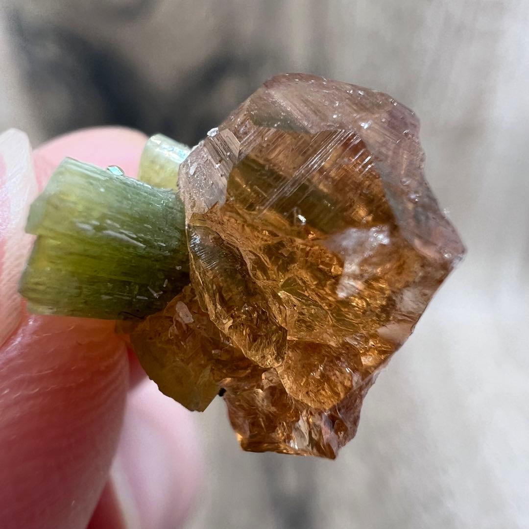 ヘソナイト ガーネット ダイオプサイト 共生 鉱物 標本 原石