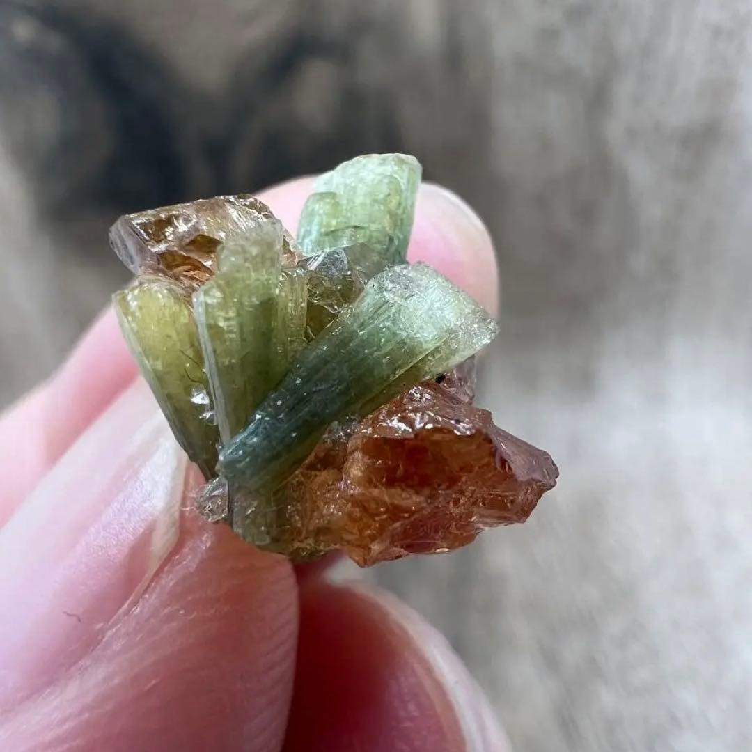 ヘソナイト ガーネット ダイオプサイト 共生 鉱物 標本 原石