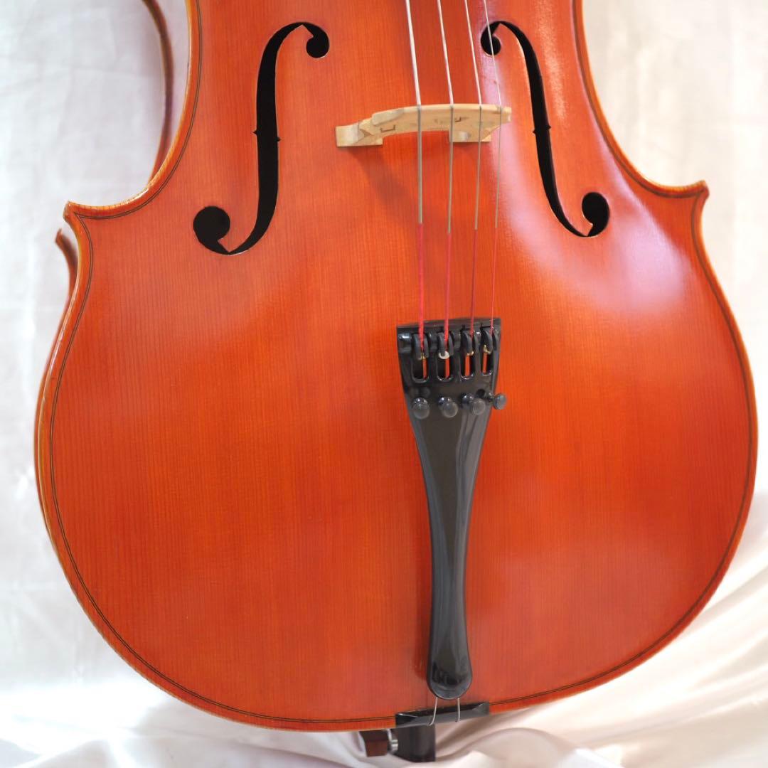 ピグマリウス チェロ 4/4 Pygmalius　ST-303 ハードケース