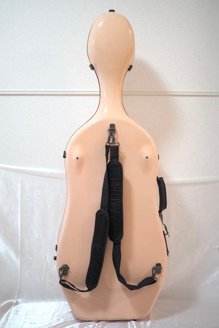 ピグマリウス チェロ 4/4 Pygmalius　ST-303 ハードケース