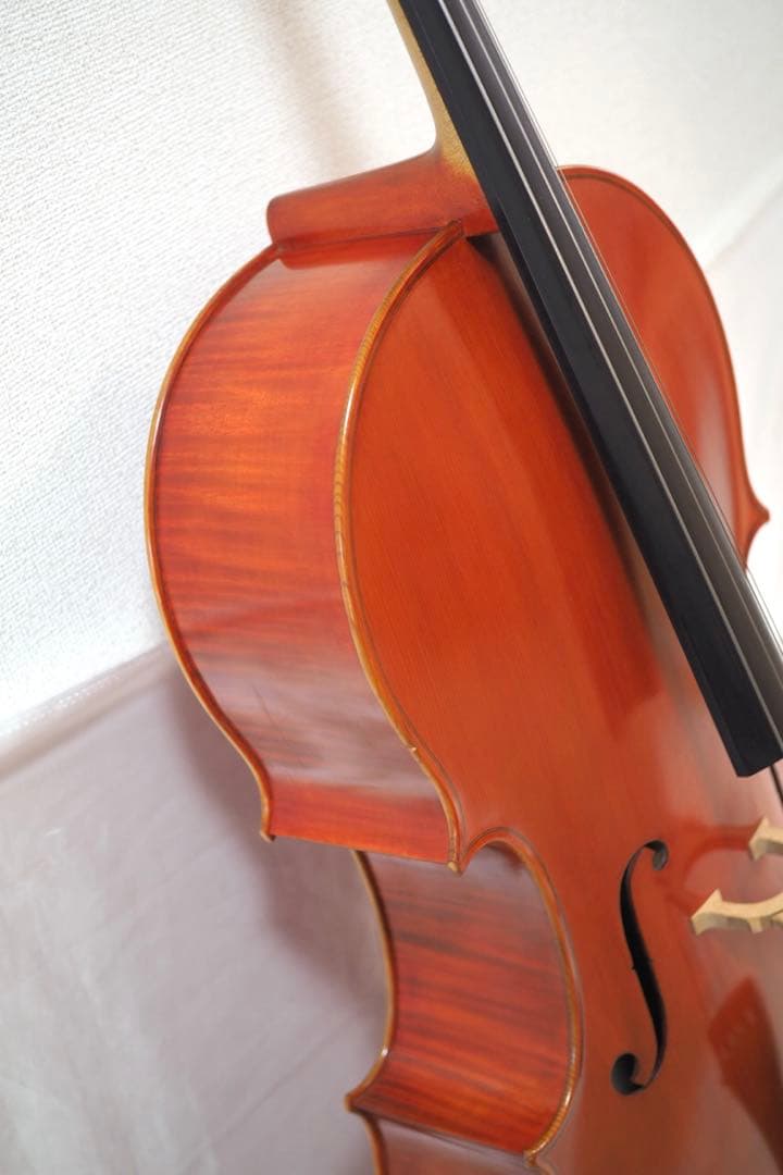 ピグマリウス チェロ 4/4 Pygmalius　ST-303 ハードケース