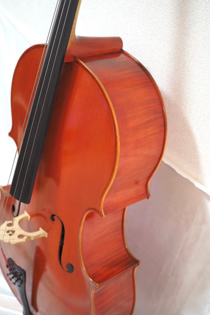 ピグマリウス チェロ 4/4 Pygmalius　ST-303 ハードケース