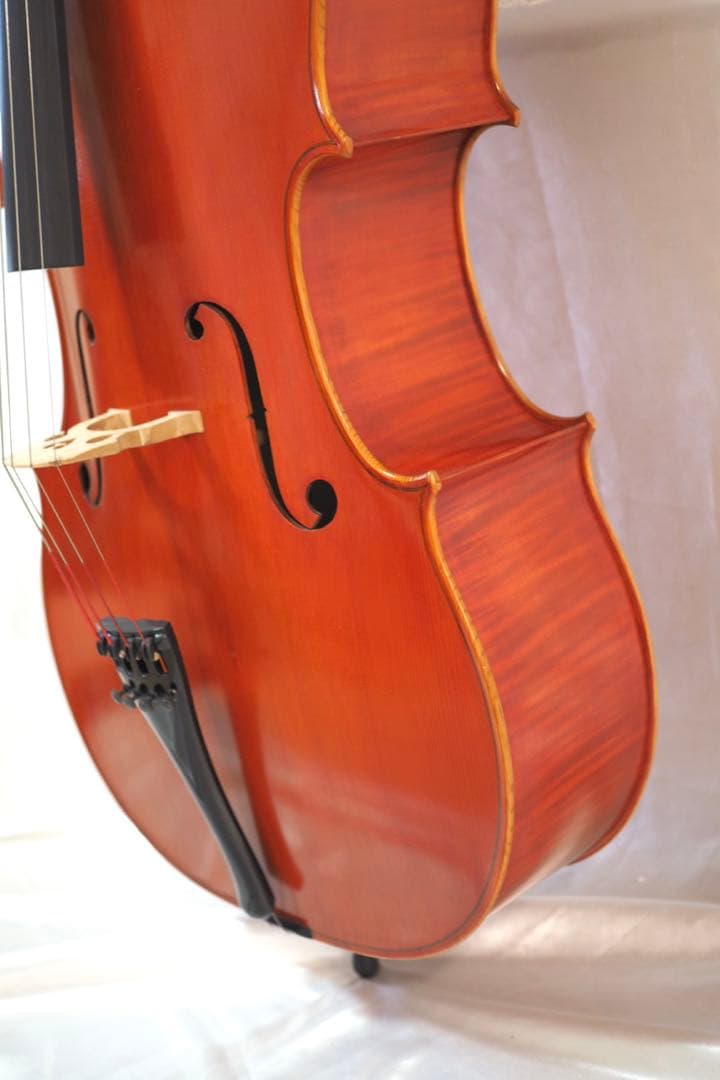 ピグマリウス チェロ 4/4 Pygmalius　ST-303 ハードケース