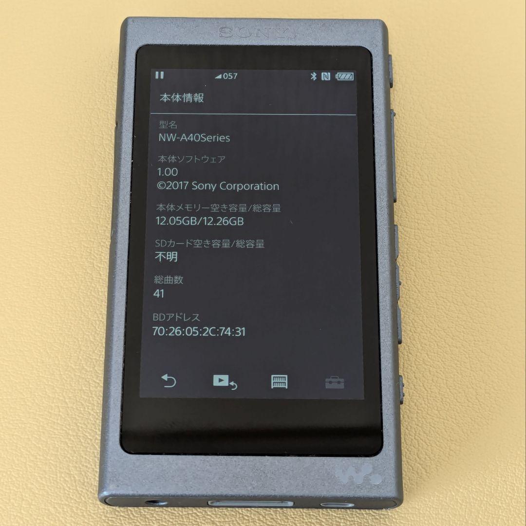 SONY ウォークマン NW-A45 ムーンリットブルー