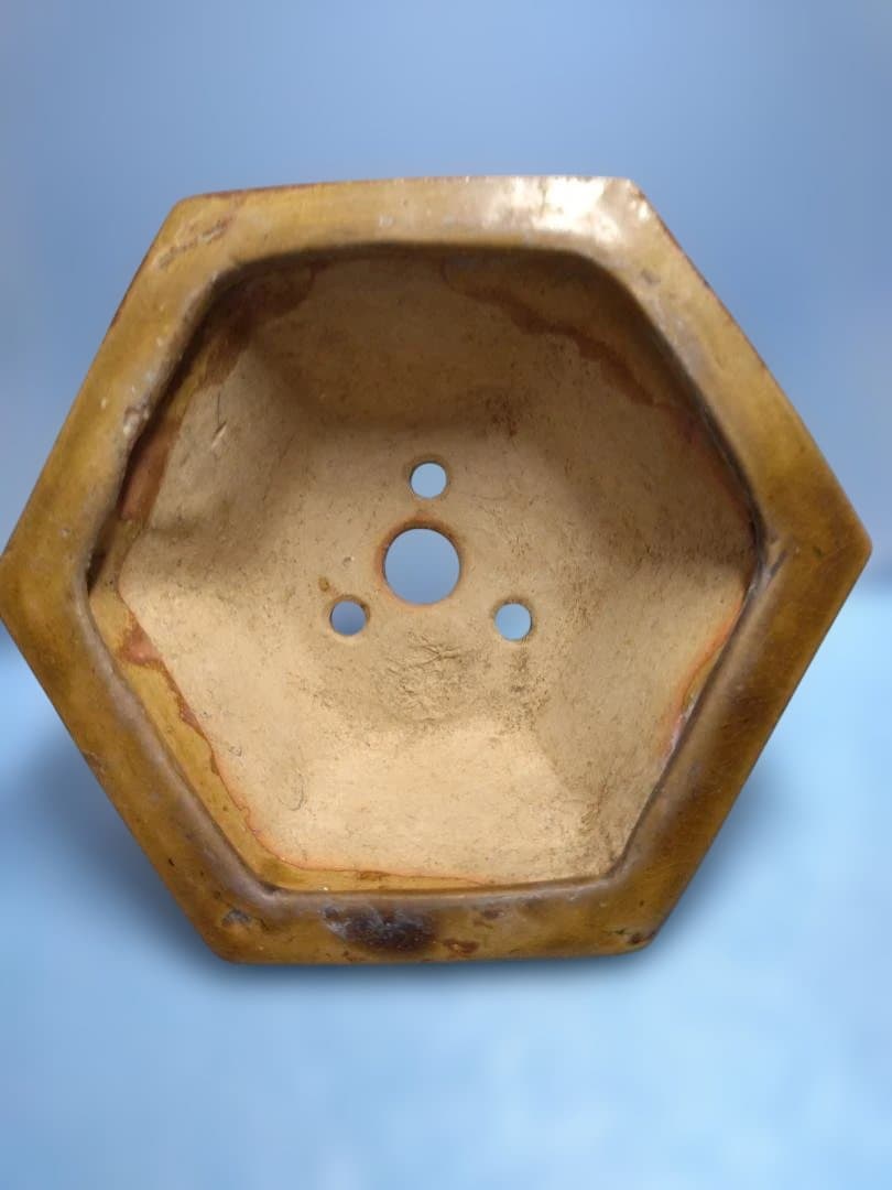 装飾的な六角形陶器器、年代物盆栽鉢