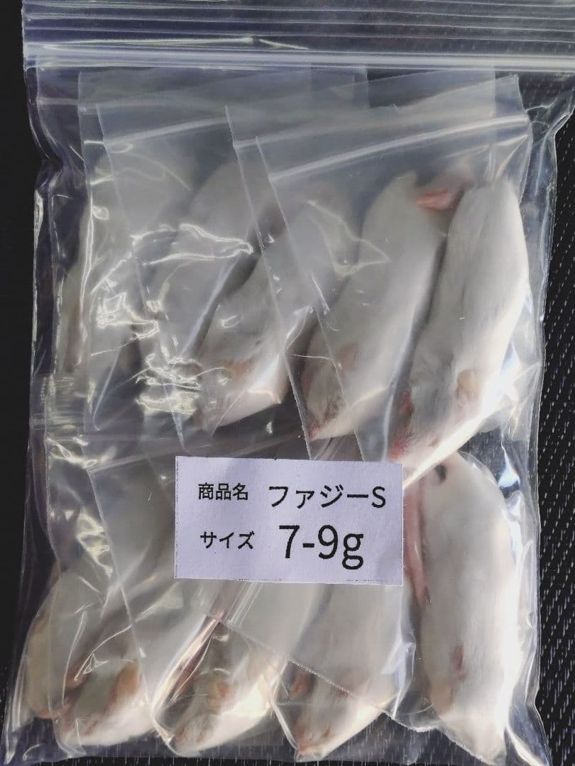 送料無料 冷凍マウスファジーS100匹