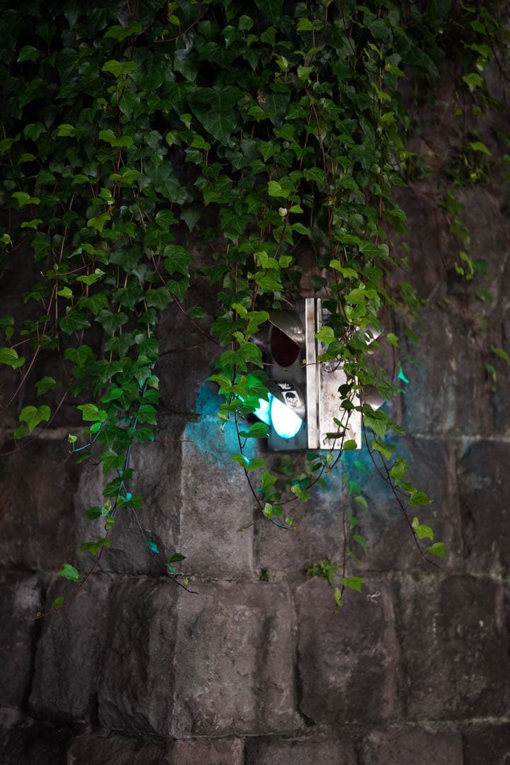 sigma 85mm F1.4 DG DN sonyEマウント(フィルター付き)