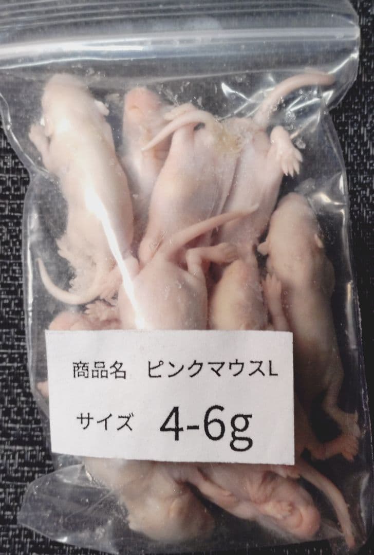 ひ　送料無料　冷凍ピンクマウスＬ200匹　ピンクマウスM100匹