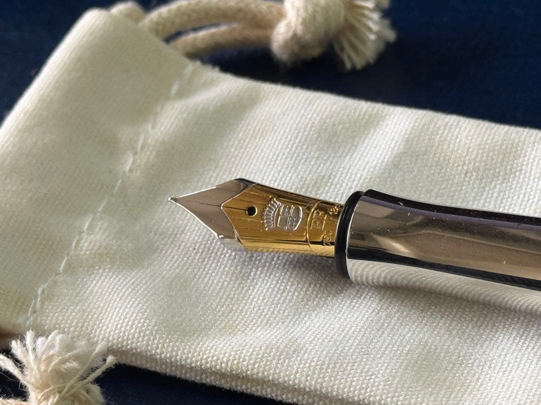 【廃盤希少】Fabercastel ファーバーカステル アネロチタン 万年筆