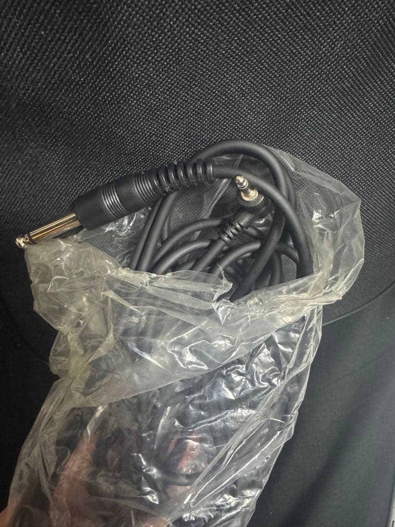 Ennbom エレキヴァイオリン エボニー サイレント その他